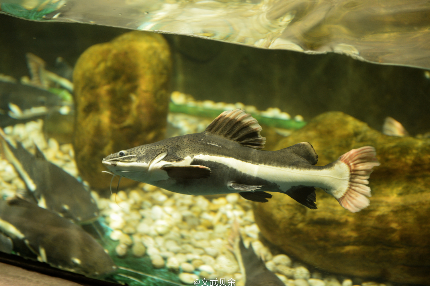 六安九十里山水画廊攻略,六安九十里山水画廊是啥