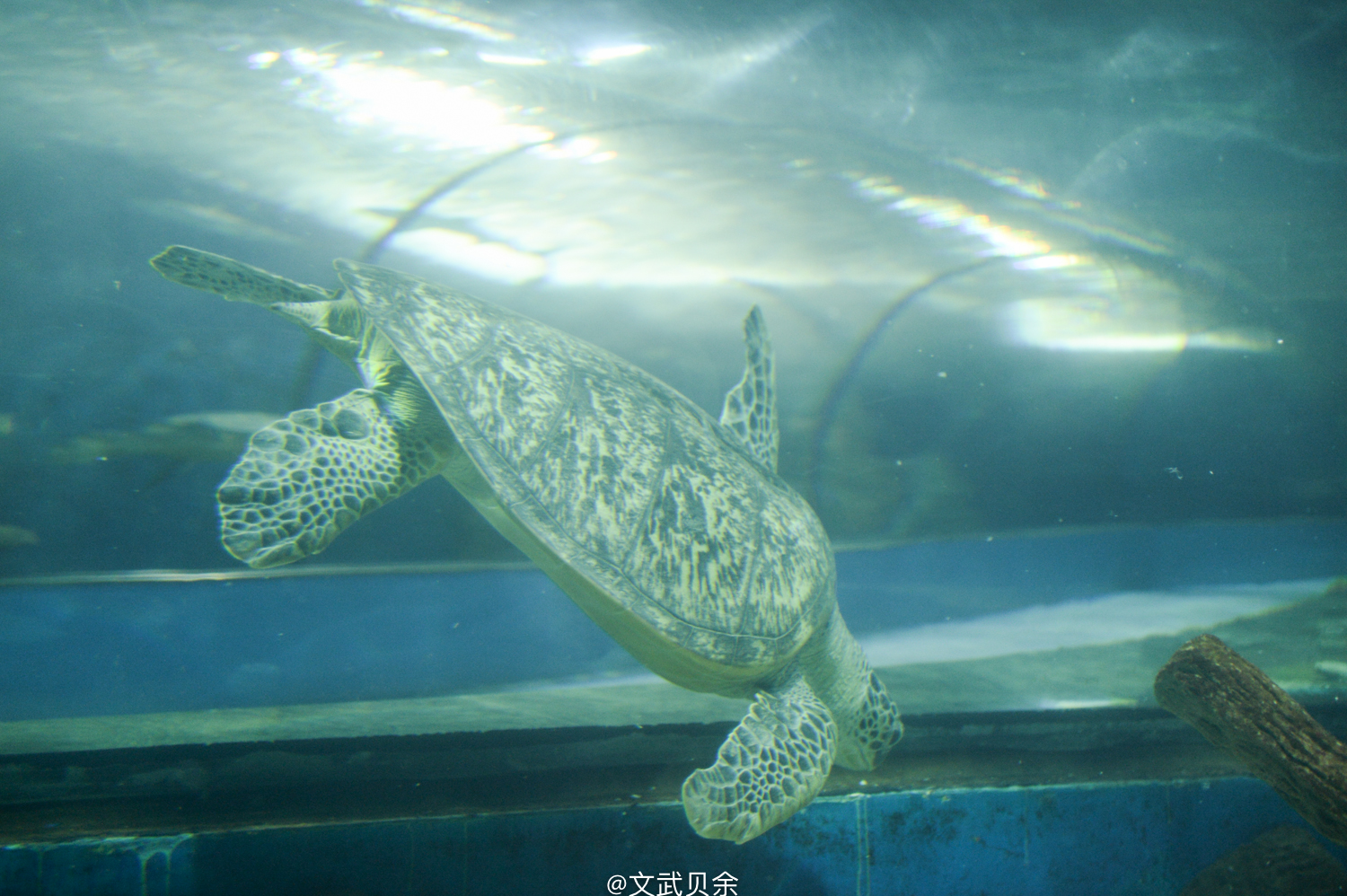 六安九十里山水画廊攻略,六安九十里山水画廊是啥