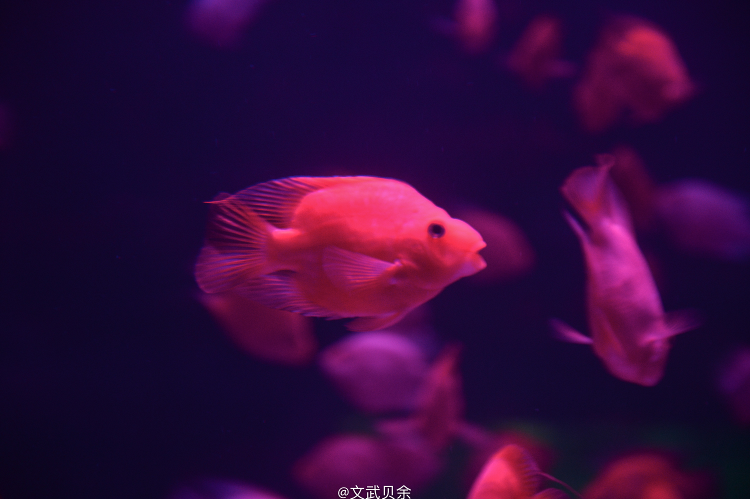 六安九十里山水画廊攻略,六安九十里山水画廊是啥