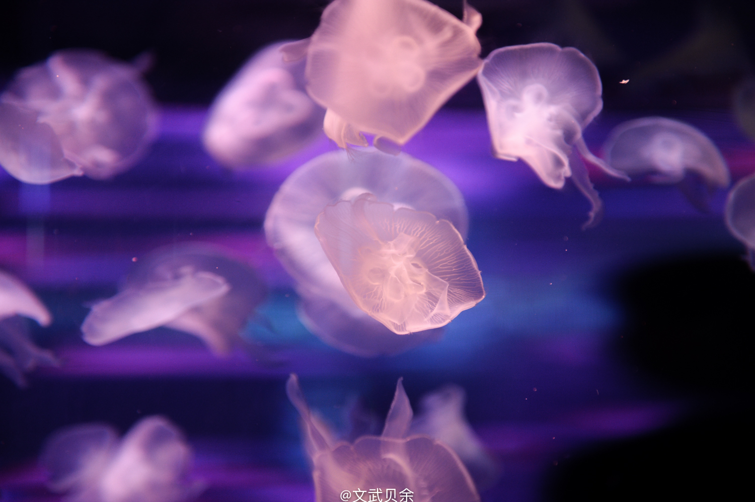 六安九十里山水画廊攻略,六安九十里山水画廊是啥