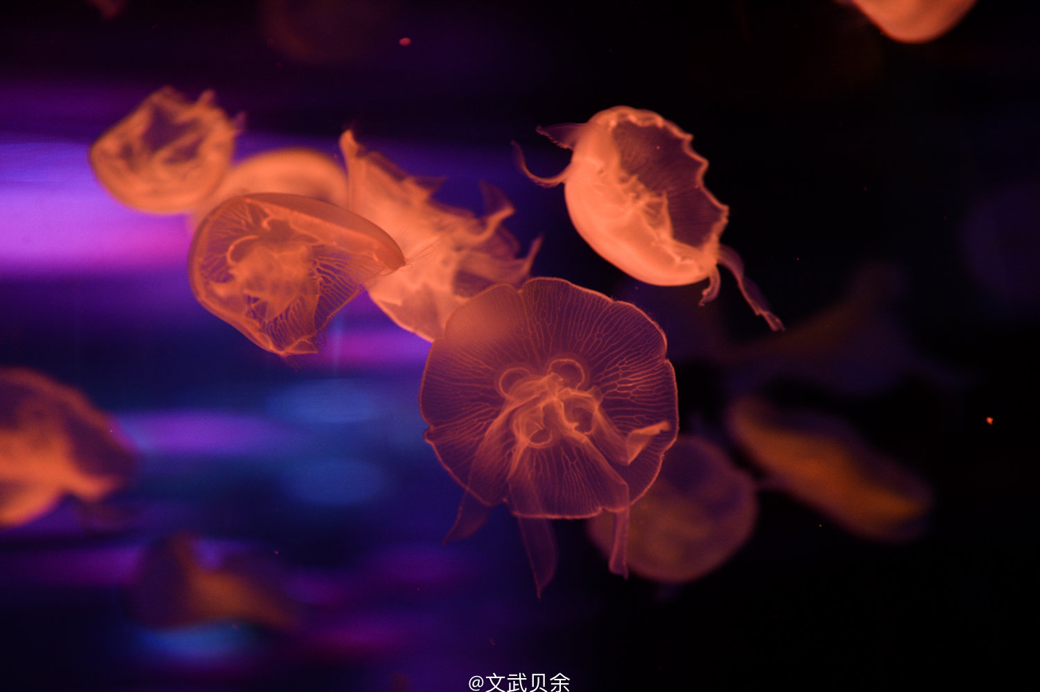 六安九十里山水画廊攻略,六安九十里山水画廊是啥