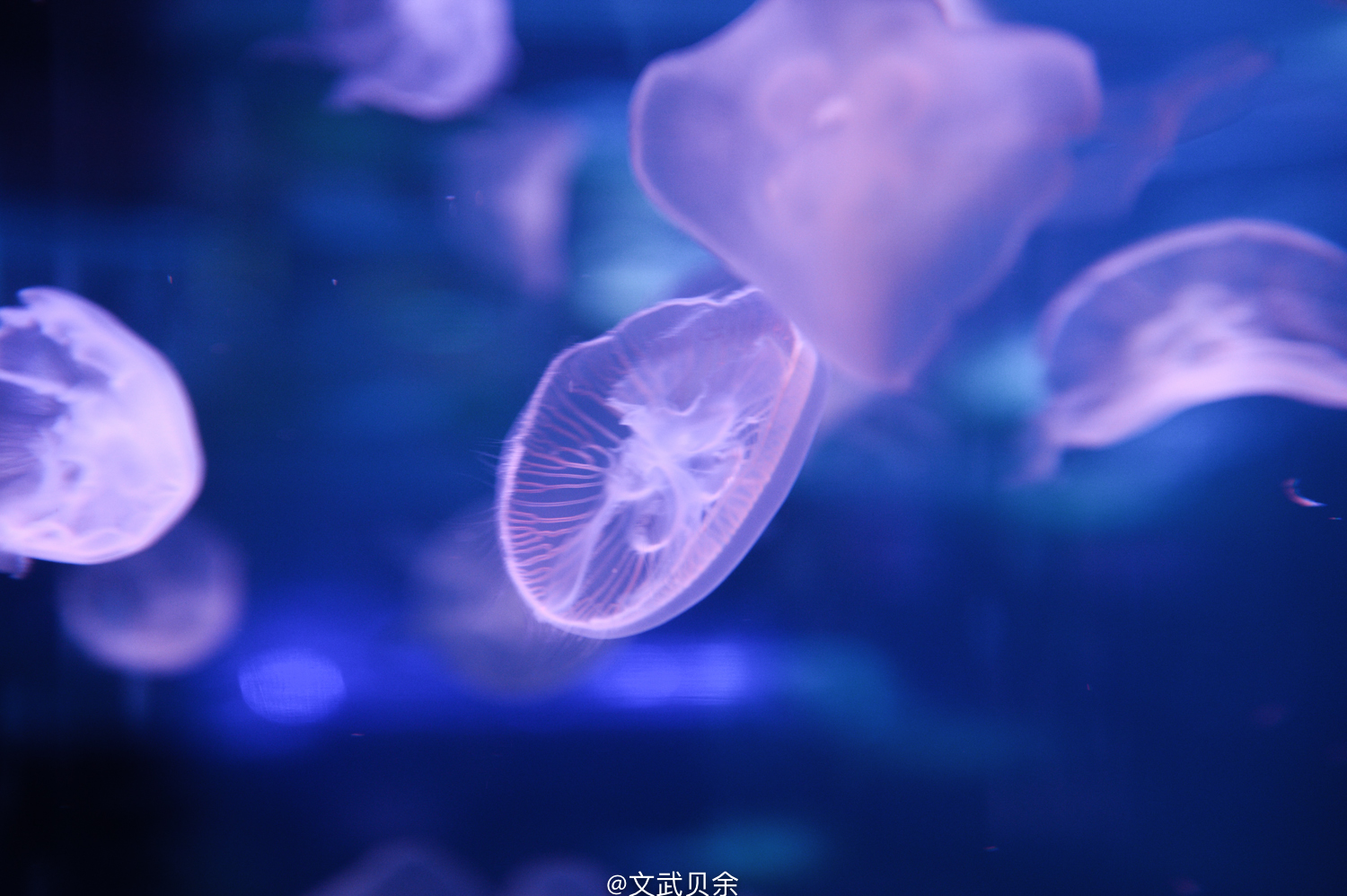 六安九十里山水画廊攻略,六安九十里山水画廊是啥