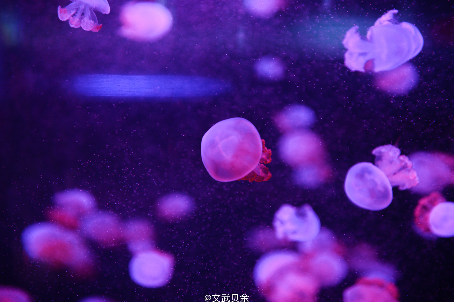 六安九十里山水画廊攻略,六安九十里山水画廊是啥