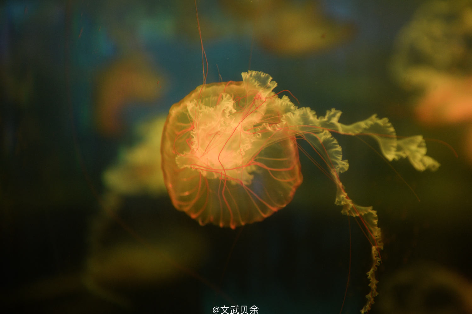 六安九十里山水画廊攻略,六安九十里山水画廊是啥