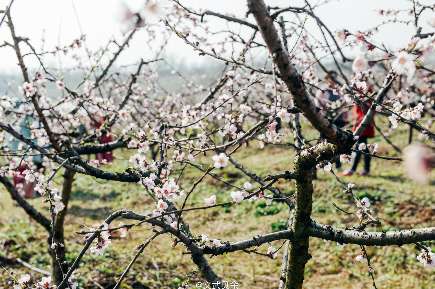 六安九十里山水画廊攻略,六安九十里山水画廊是啥