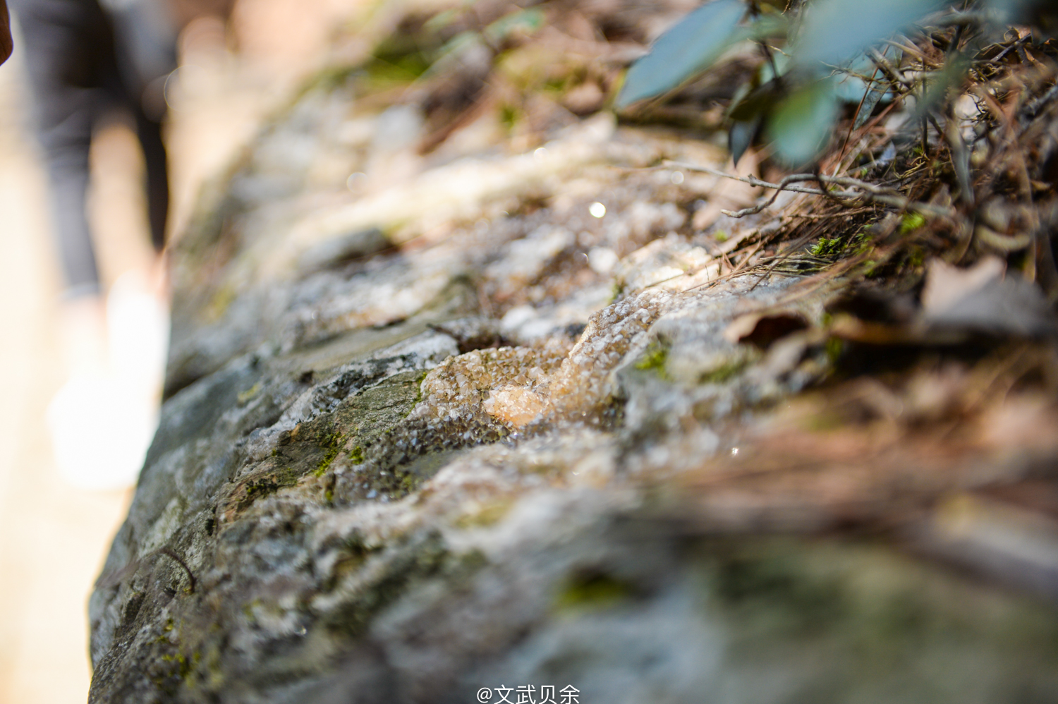 六安九十里山水画廊攻略,六安九十里山水画廊是啥