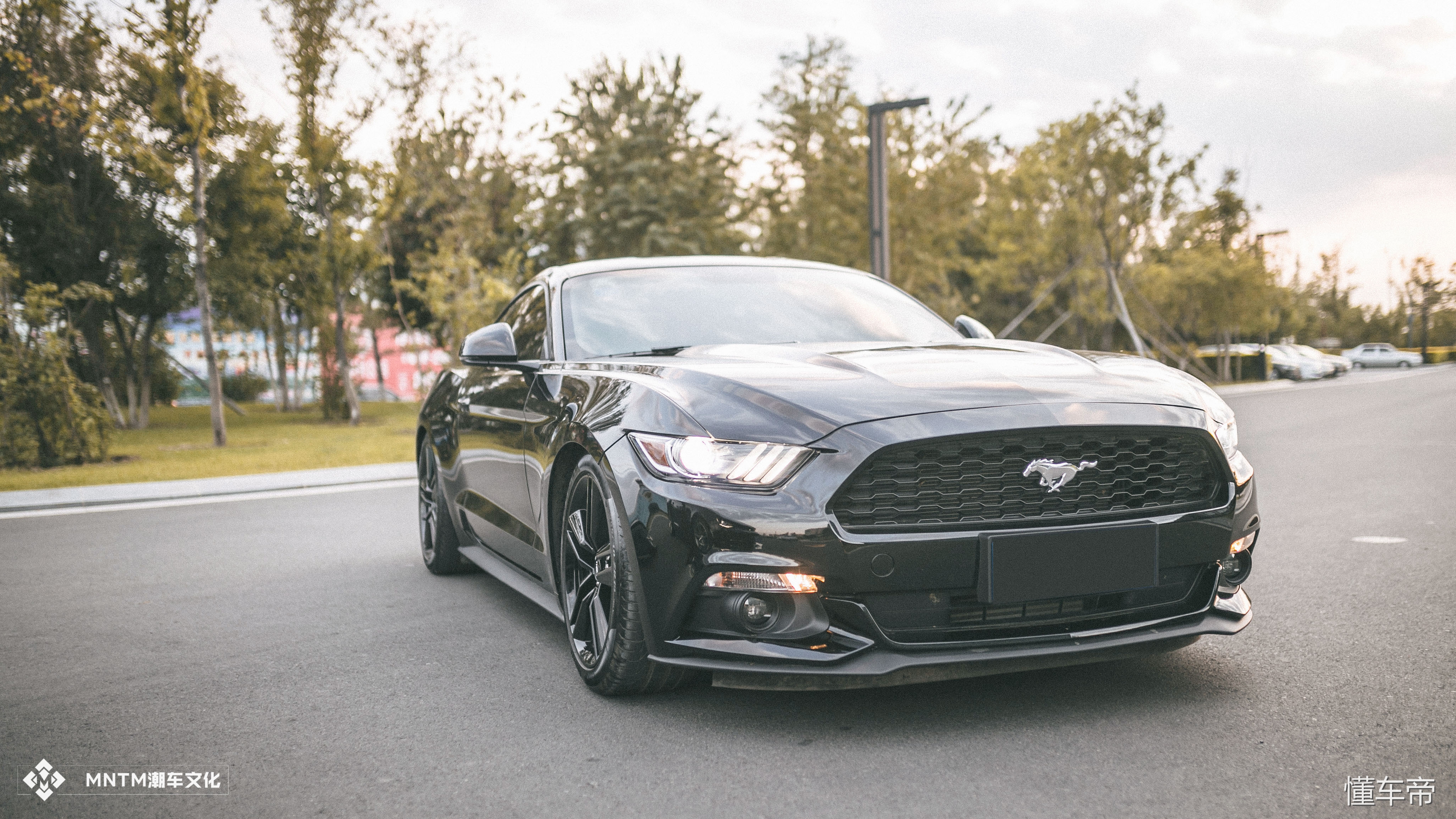 0-1科迈罗对比野马,科迈罗和野马的对比照