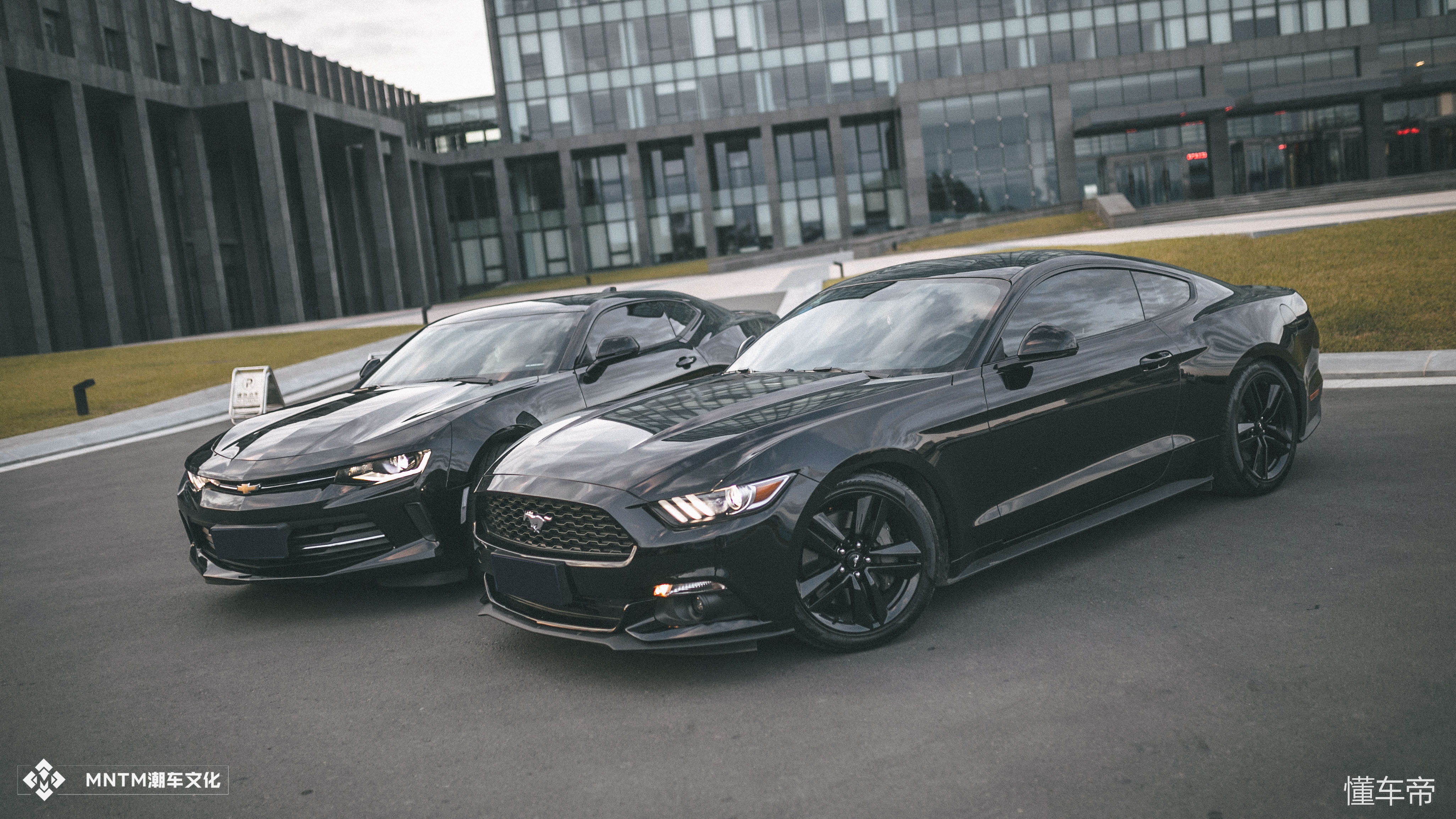 0-1科迈罗对比野马,科迈罗和野马的对比照