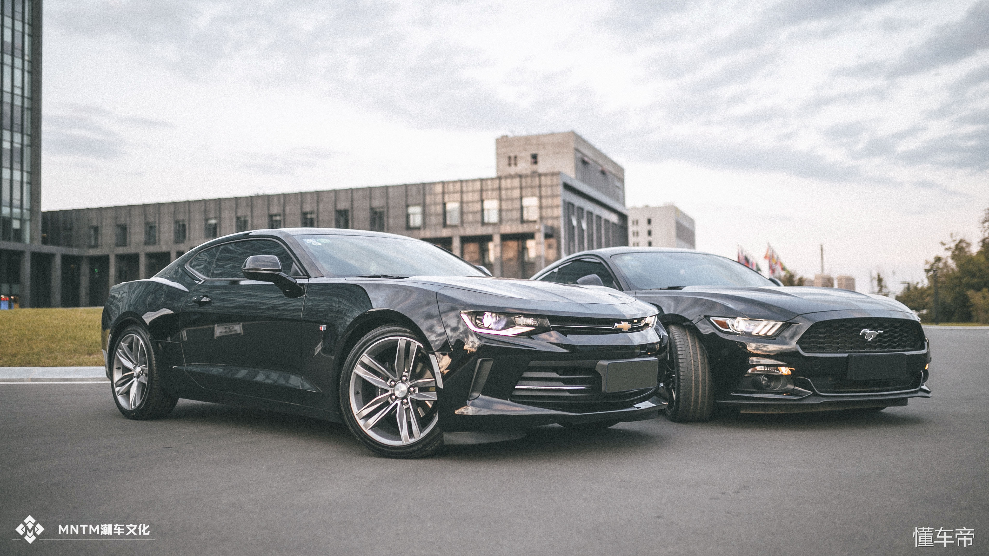 0-1科迈罗对比野马,科迈罗和野马的对比照