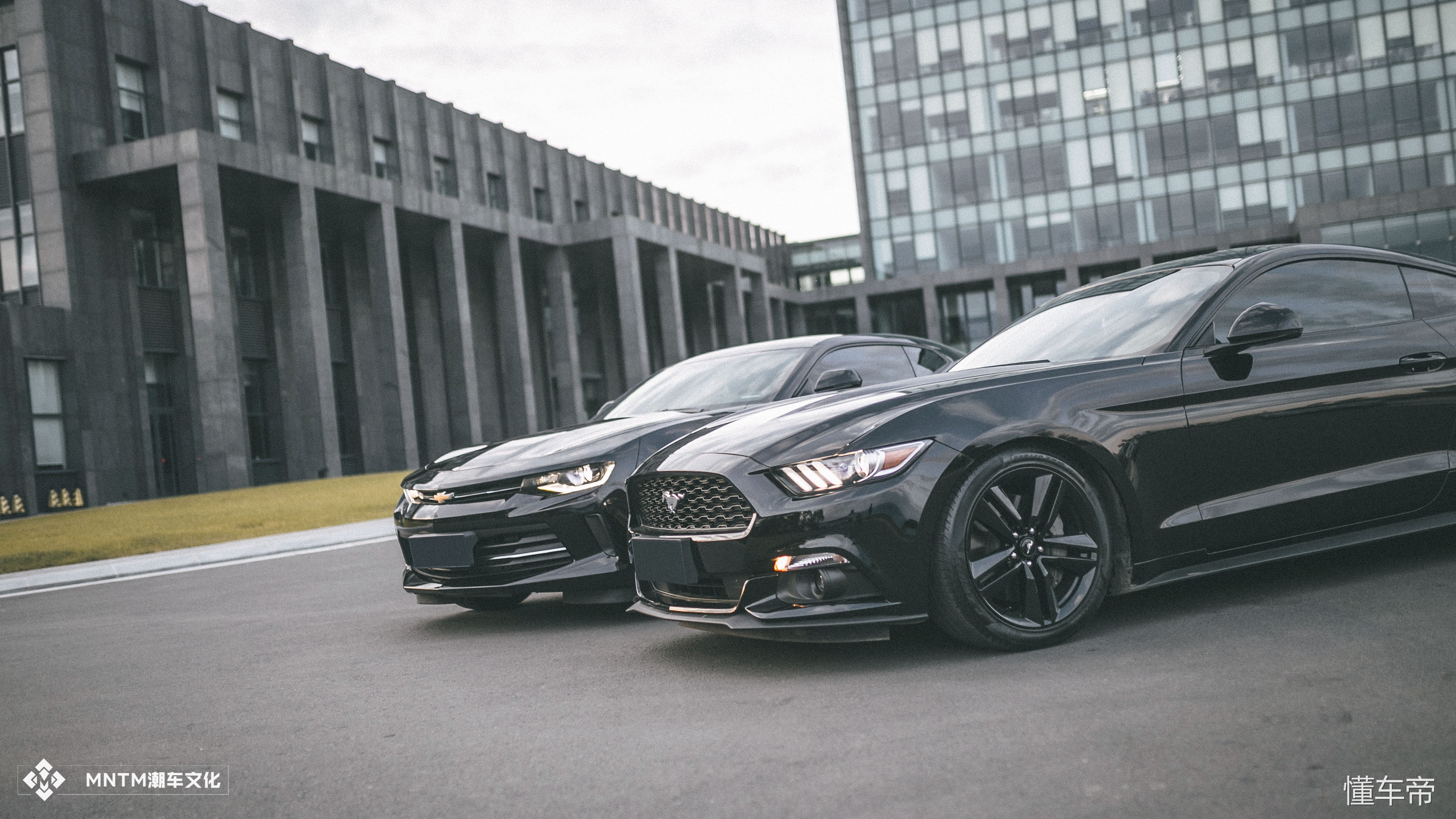 0-1科迈罗对比野马,科迈罗和野马的对比照