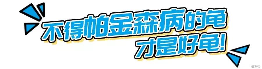 五羊本田电动龟,五羊本田净原龟