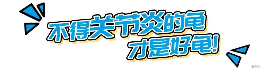 五羊本田电动龟,五羊本田净原龟