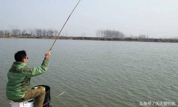 肥水黑坑鱼难钓，黑坑老司机帮你分析原因找到得解决之道