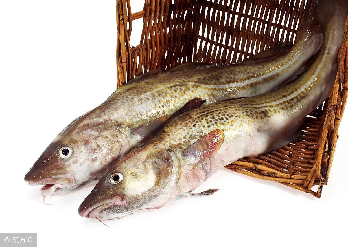 如何挑选正确的胶原蛋白,怎么选择真正的胶原蛋白