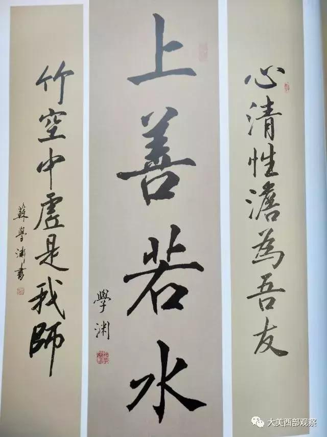 苏学渊书法,书法家苏学渊近况