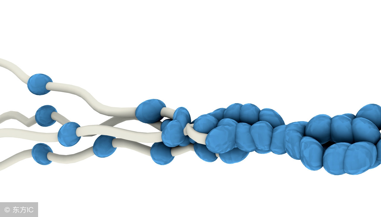 如何挑选正确的胶原蛋白,怎么选择真正的胶原蛋白