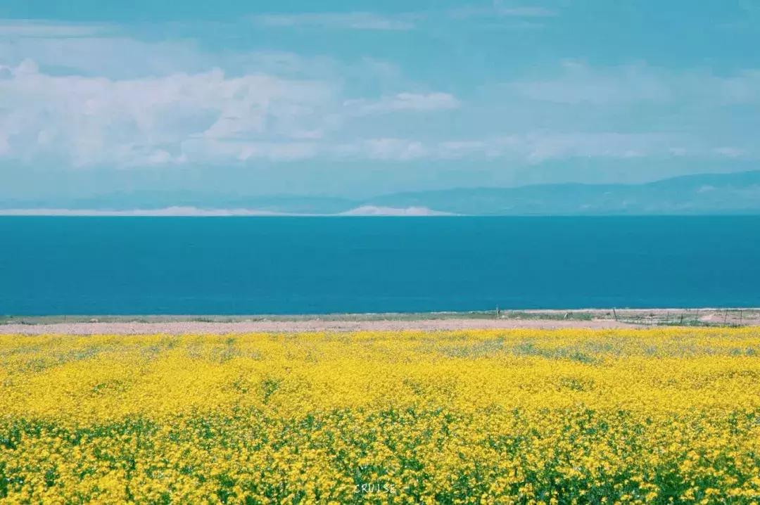 天津去哪个城市免门票,天津景区门票免票政策