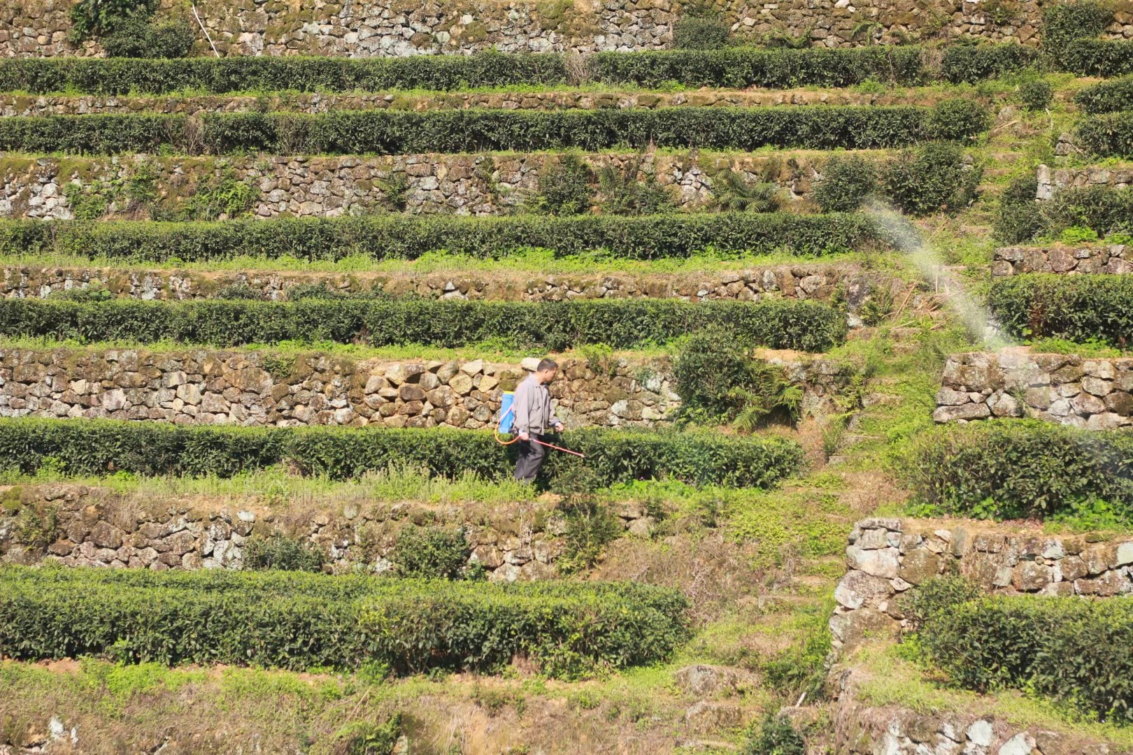 广西壮族自治区桂平西山一游,广西壮族三月三桂平西山游