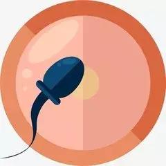 怎么修复生完孩子的肚皮松弛,生完宝宝怎么修复的快