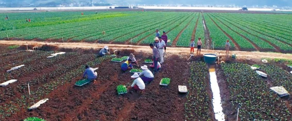 农村土地承包纠纷调解仲裁法解释,土地纠纷最佳解决方法视频