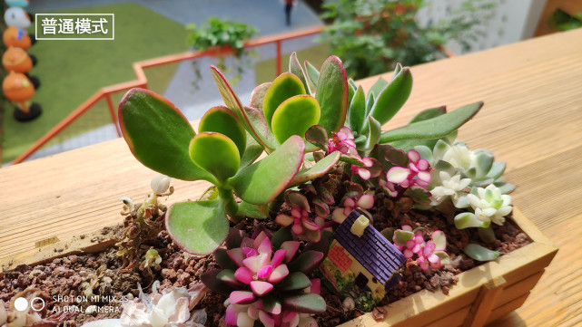 小米mix2s拍照测评,小米mix2s评测