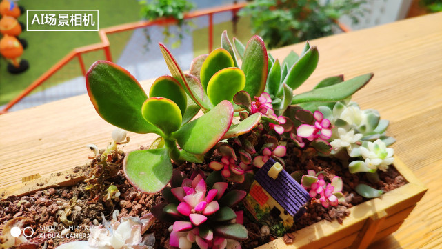 小米mix2s拍照测评,小米mix2s评测