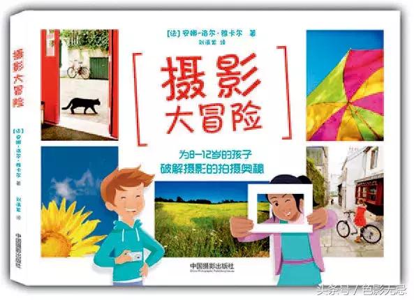 看完这本书你就明白了什么道理,看完这六本书才发现美学