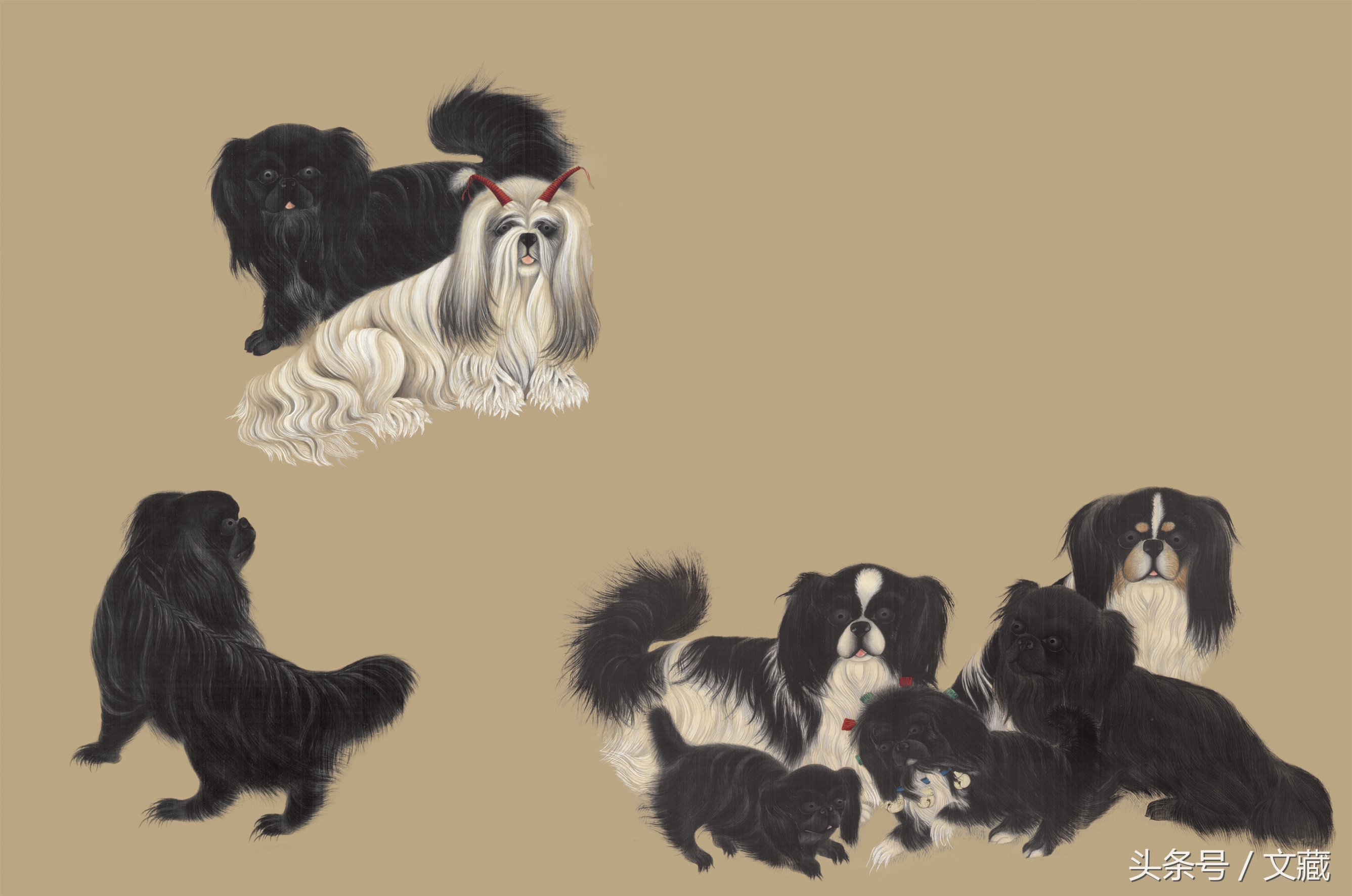 爱之极笃：看铁腕女强人慈禧如何花式吸狗！