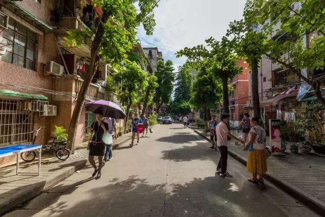 沙园市场在哪里,沙园市场怎么样