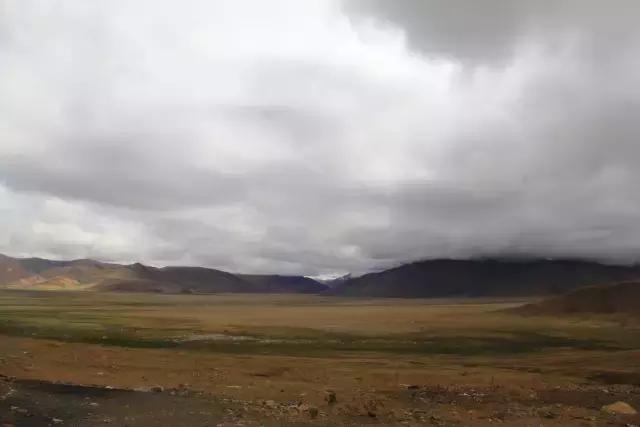 川藏线骑行遇到野狗,骑行川藏被野狗追