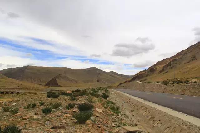 川藏线骑行遇到野狗,骑行川藏被野狗追