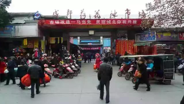 金牛区2025年内荷花池片区改造,荷花池未来5年规划