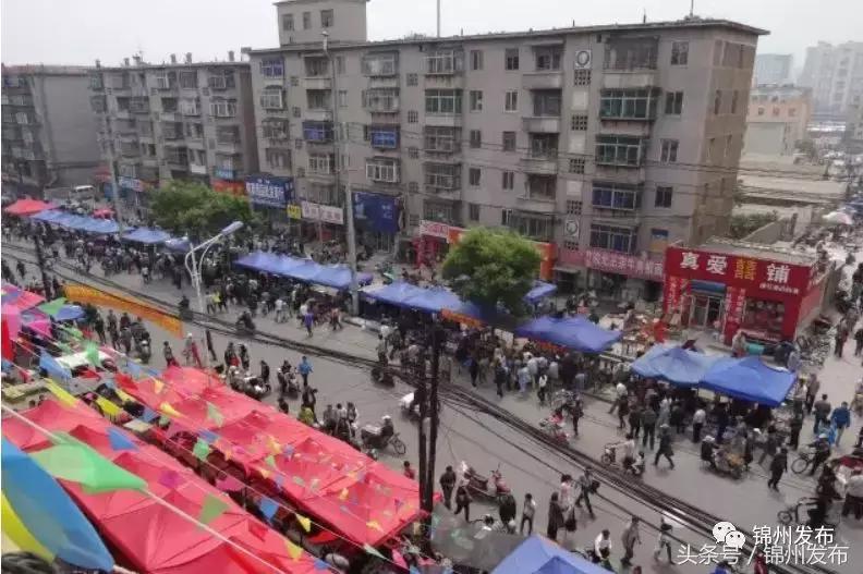 2022年锦州古玩交流会时间表,第十二届锦州古玩节开幕