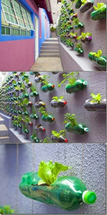 塑料瓶和纸板废物利用,用瓶子和纸箱废物利用