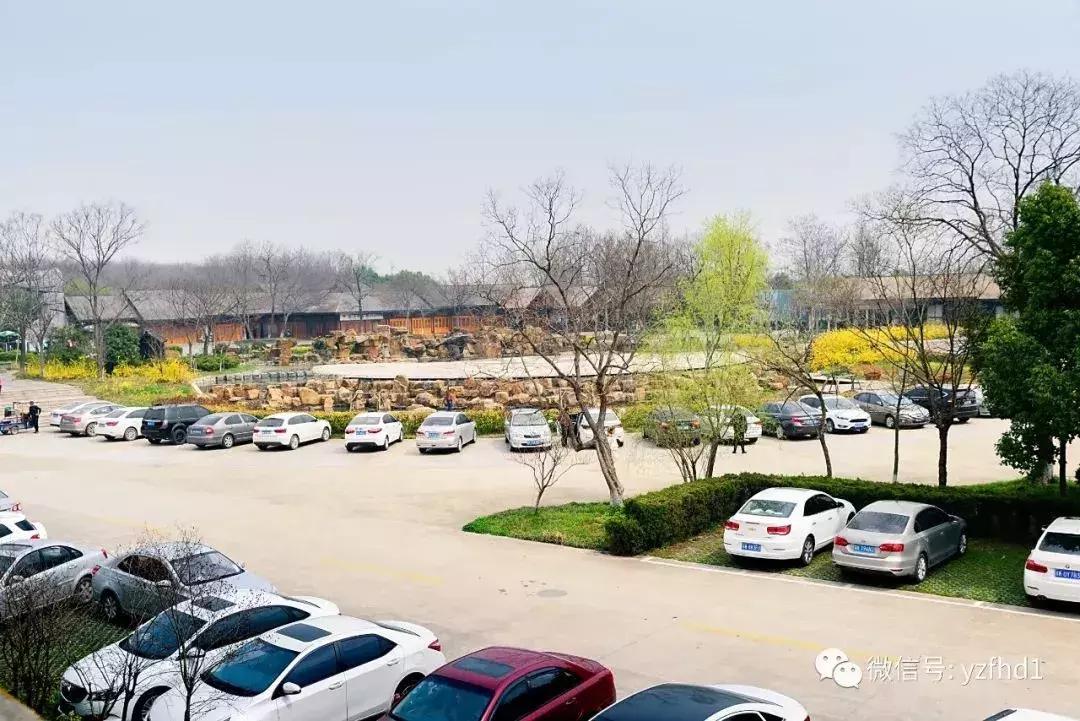 扬州中国风湿地公园,六月的扬州湿地公园