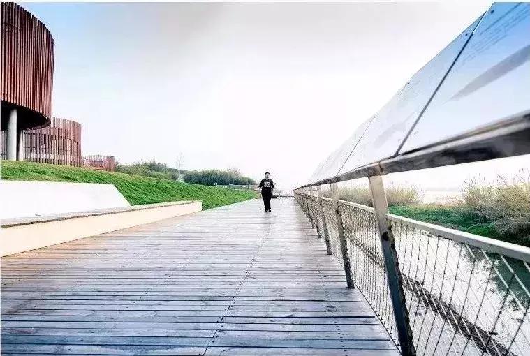 扬州中国风湿地公园,六月的扬州湿地公园