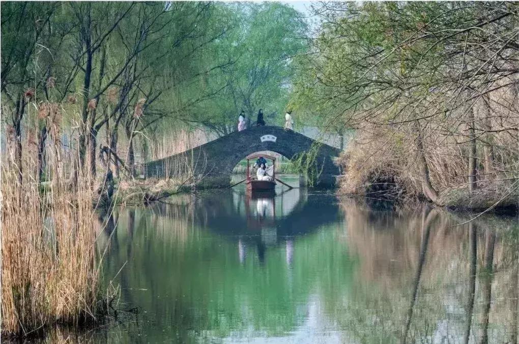 扬州中国风湿地公园,六月的扬州湿地公园