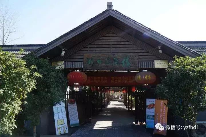 扬州中国风湿地公园,六月的扬州湿地公园