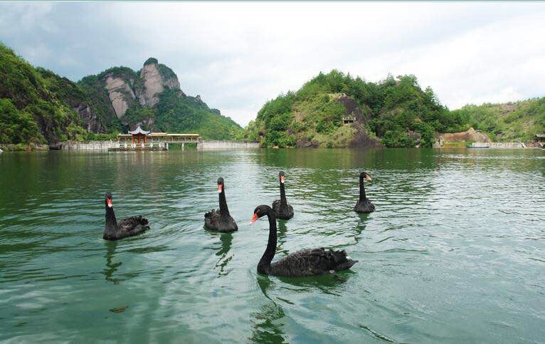 厦门北离武夷山远不远,离厦门北最近的景点是哪里