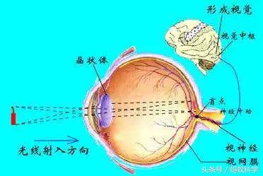 自测视觉盲点,感知盲区