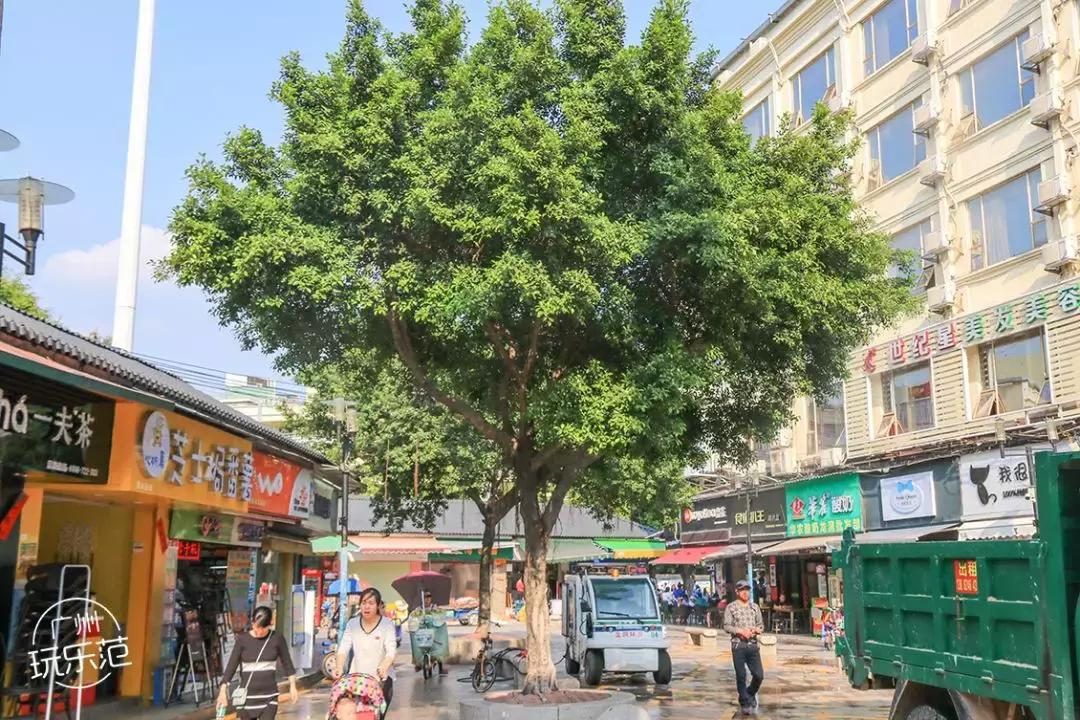 广州龙洞有哪些公园,广州龙洞有什么按摩的好地方