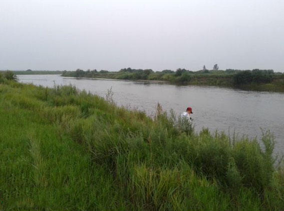 钓鲶鱼技术视频大全,钓野生鲶鱼绝招