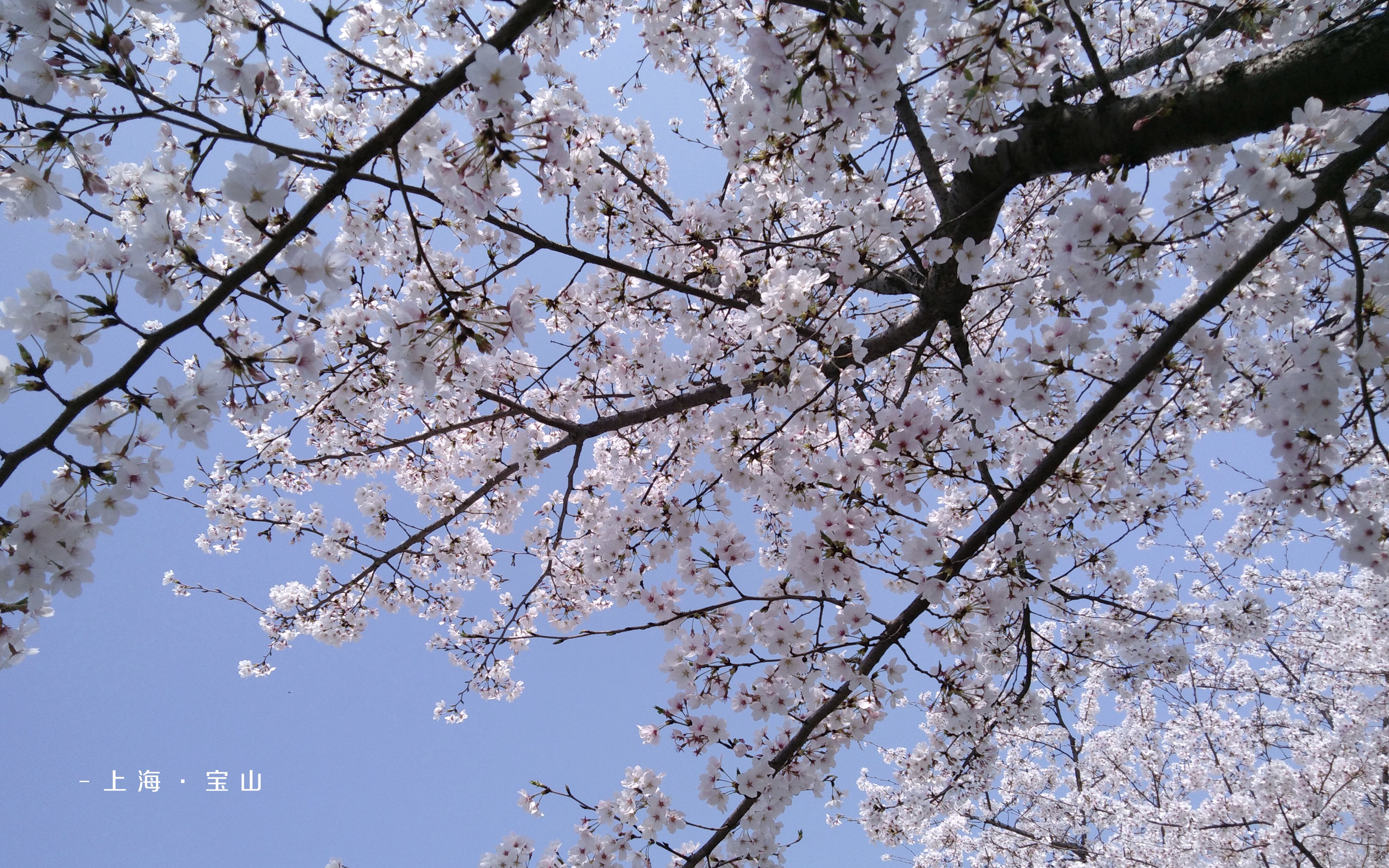 荣耀畅玩7a外观怎么样,荣耀畅玩7a配置全曝光