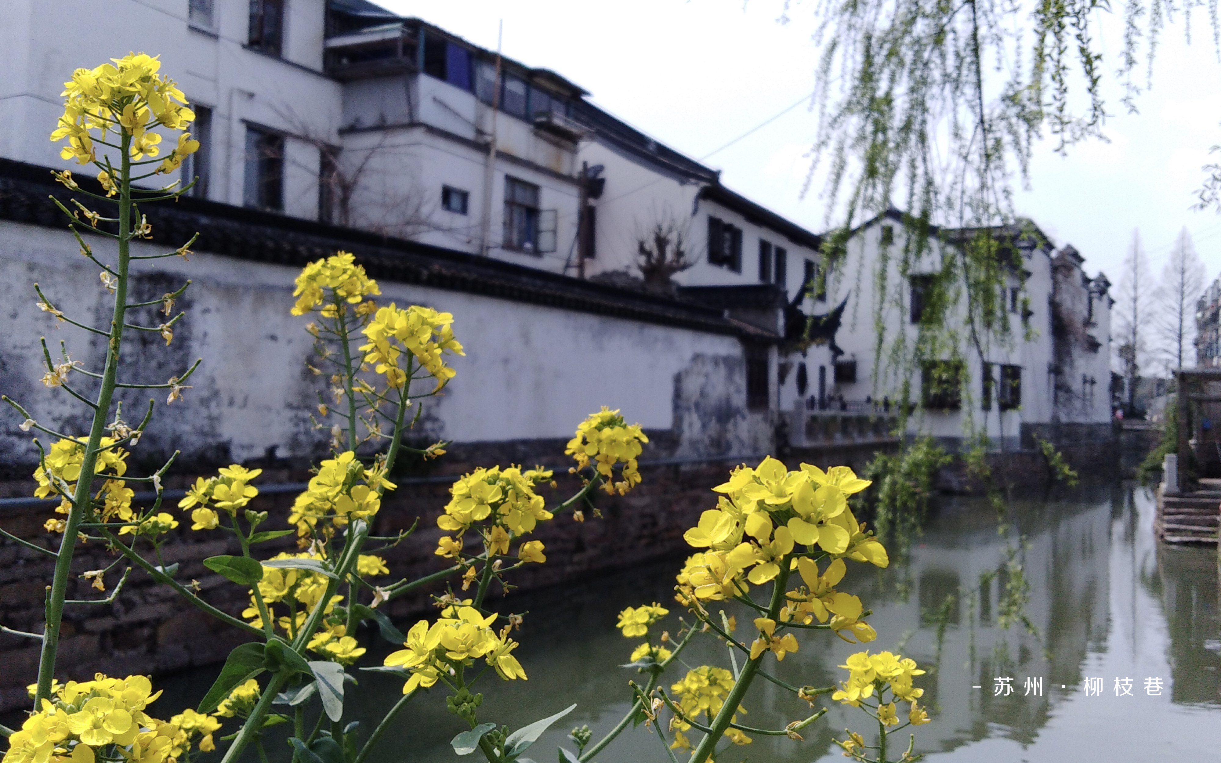 荣耀畅玩7a外观怎么样,荣耀畅玩7a配置全曝光