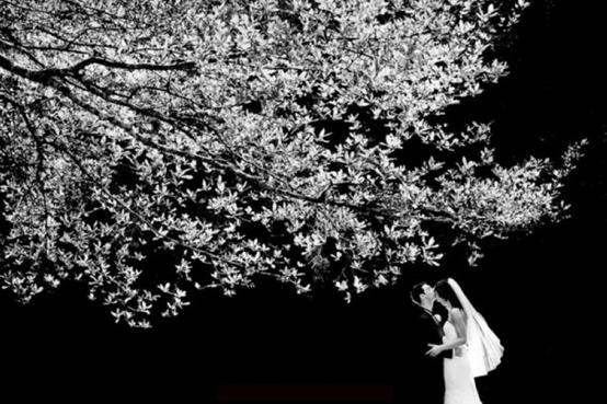 全球十款最好看的婚纱摄影,国外婚纱摄影大全