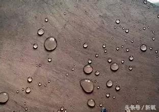 杨幂戴墨镜的照片,杨幂和范冰冰同框