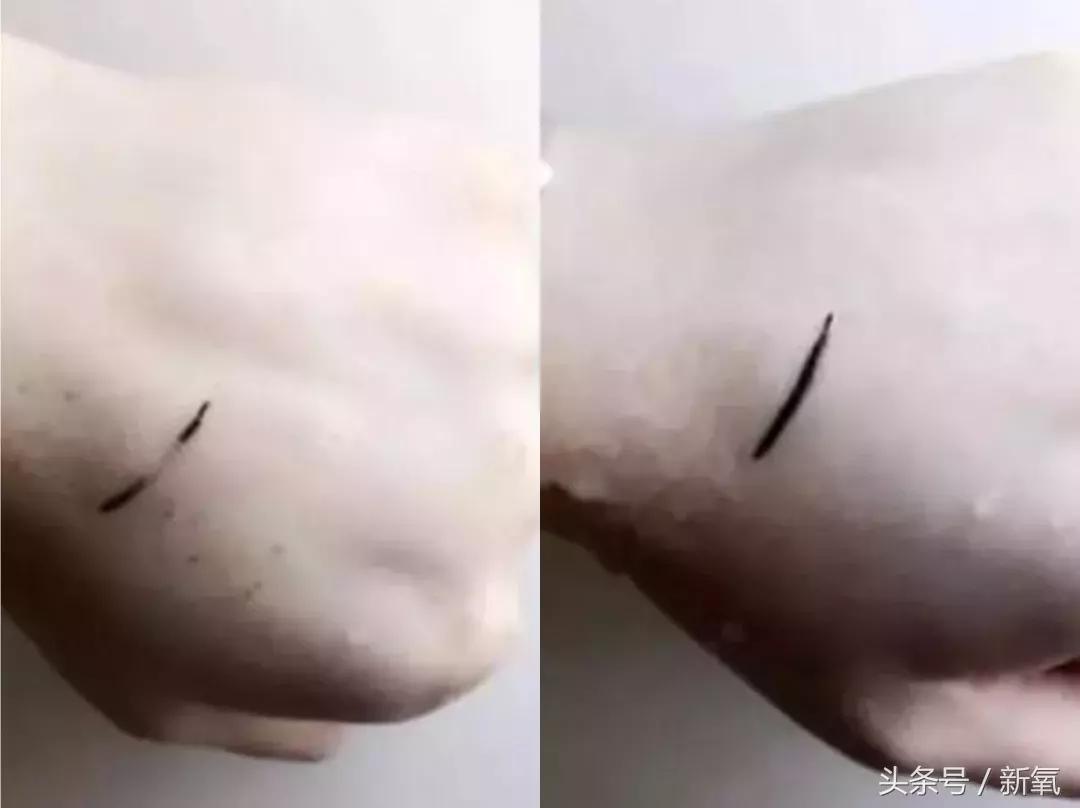 杨幂戴墨镜的照片,杨幂和范冰冰同框