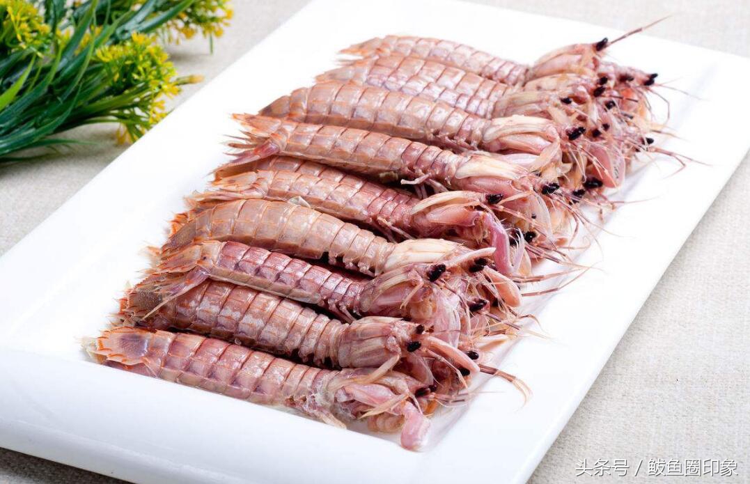 6月渤海湾吃什么海鲜,渤海湾七月吃什么海鲜