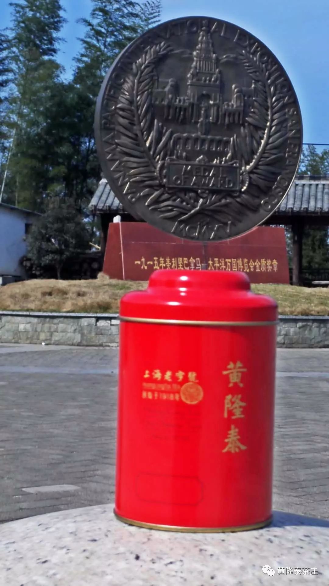 老张说茶老白茶,老张说茶的技巧