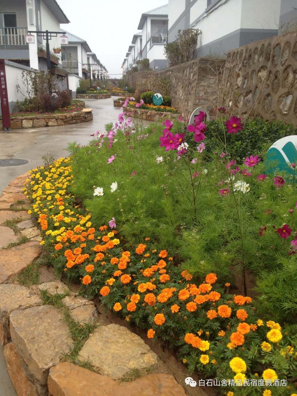 白石山舍精品民宿度假酒店,白石山舍精品民宿度假酒店团购